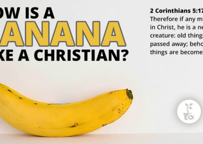 FFN Banana Facebook