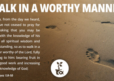 FFN Colossians Facebook